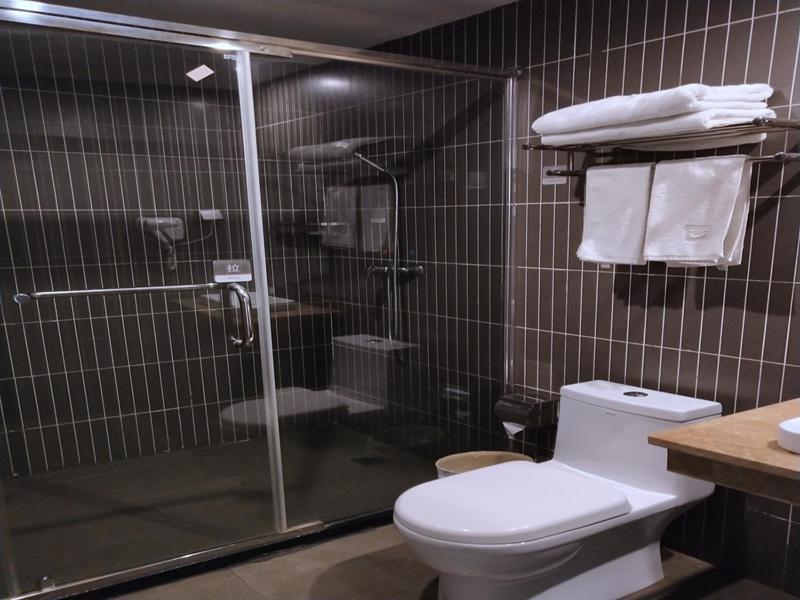 Thank Inn Plus Hotel Jiangxi Fuzhou Jinxi County Government Square Buitenkant foto